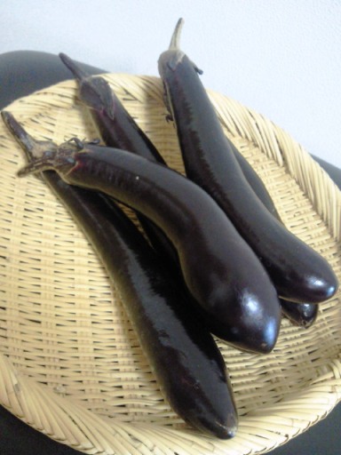 c0081552_13502715.jpg