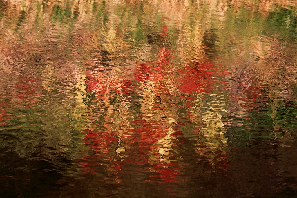 e0229455_14185959.jpg