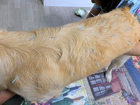 c0097558_12204159.jpg