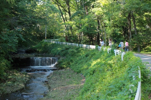b0138661_12114747.jpg