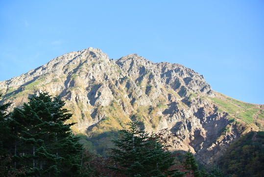 c0080861_1448575.jpg