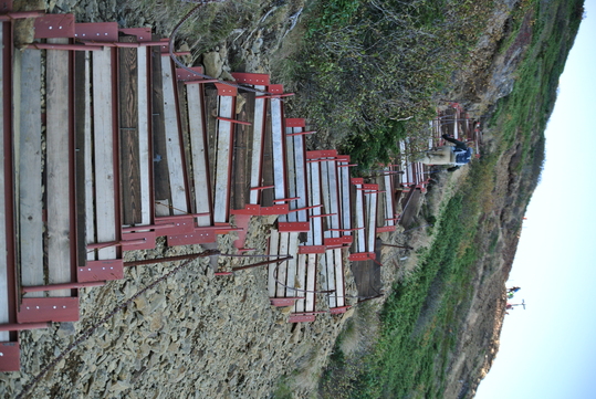 c0080861_1532948.jpg
