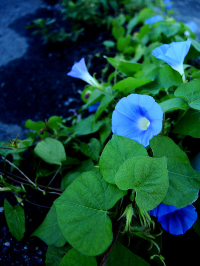 f0297861_2037047.jpg