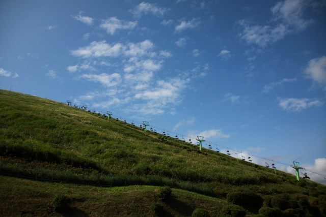 a0216469_044881.jpg