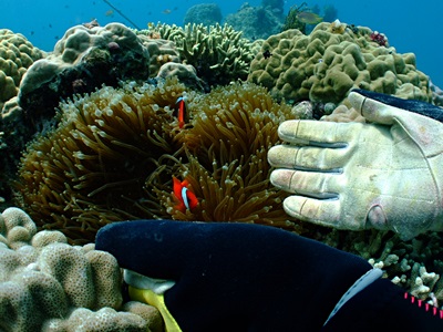 b0033573_211147.jpg