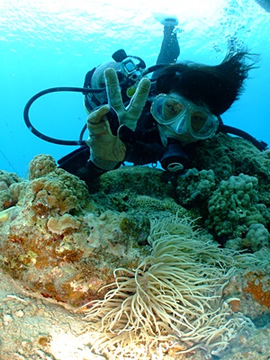 b0033573_2112312.jpg