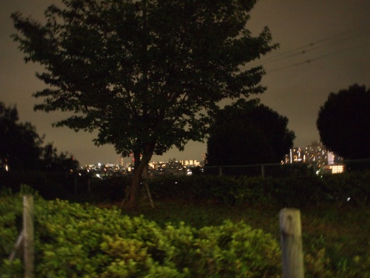 b0239176_11235471.jpg