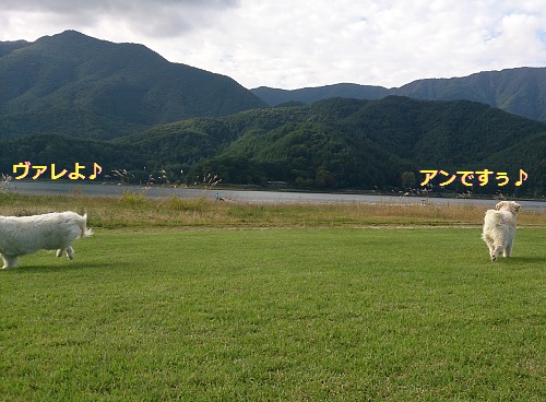 b0136381_1562524.jpg