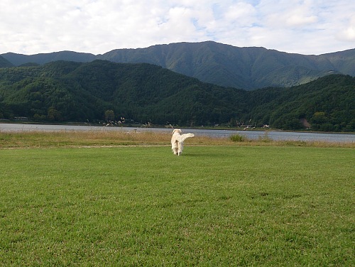 b0136381_1564917.jpg