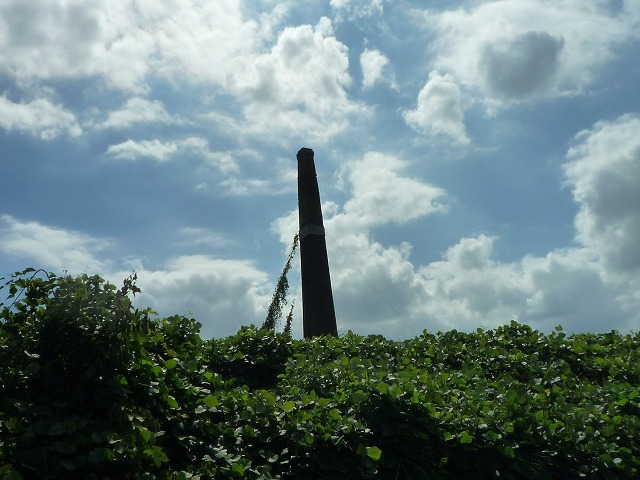 b0287088_1429165.jpg
