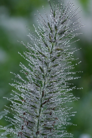 b0226089_2042344.jpg
