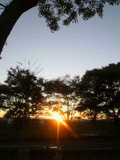 d0247789_19105910.jpg