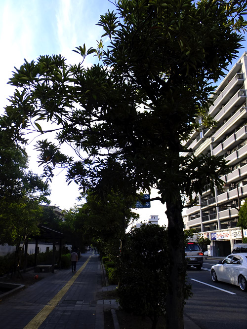 c0001491_13404266.jpg
