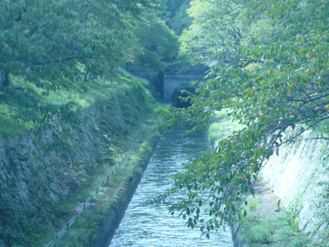 e0326699_16233447.jpg