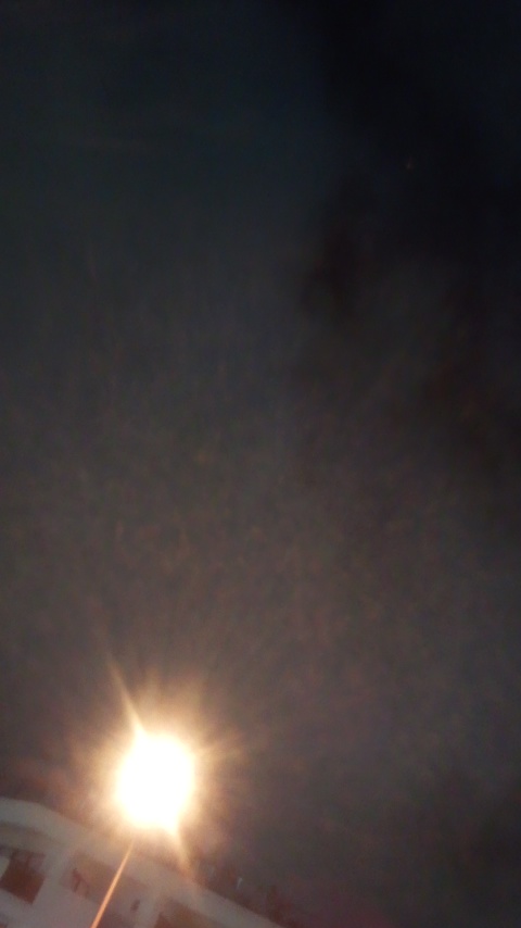 e0179800_3155093.jpg