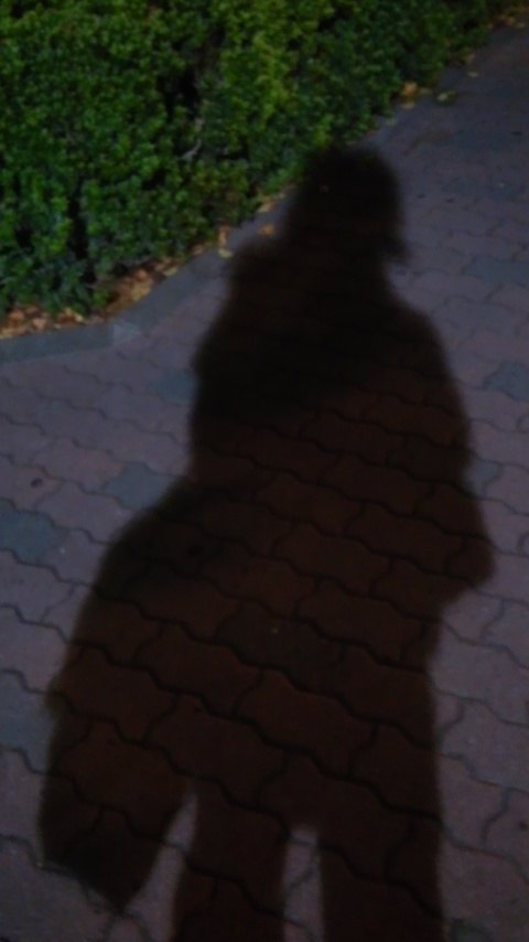 e0179800_3155099.jpg