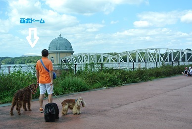 a0134004_1537759.jpg