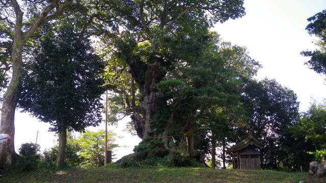 a0116205_6413481.jpg
