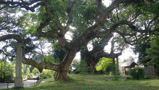 a0116205_6415231.jpg