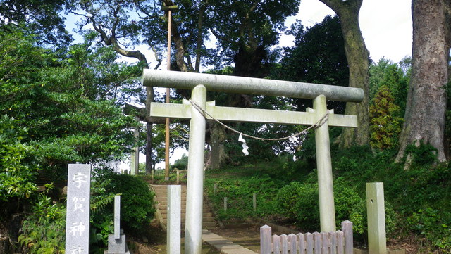 a0116205_6423179.jpg