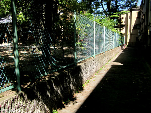 a0154706_6121467.jpg