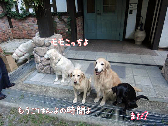 f0064906_15153581.jpg