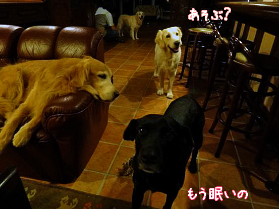 f0064906_15191510.jpg