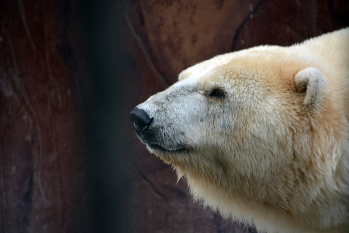 a0151913_0593330.jpg