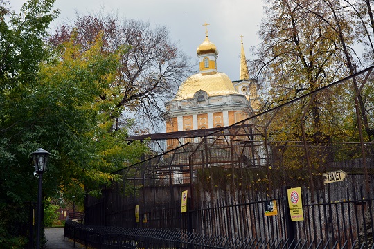 a0151913_165993.jpg
