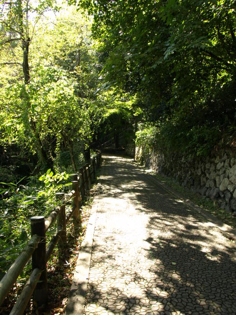 e0256122_17354627.jpg