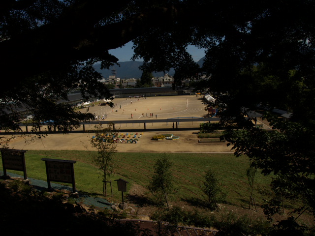 e0256122_1738857.jpg