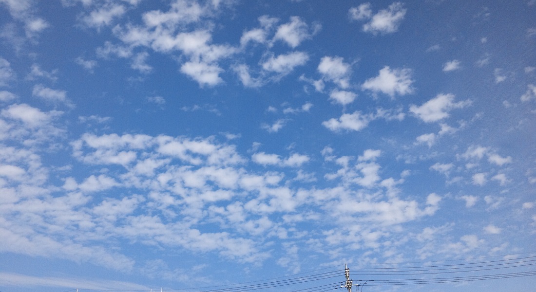 b0199924_14485113.jpg