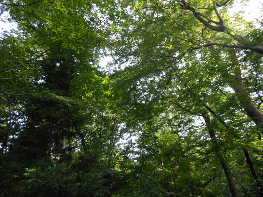 e0071225_024214.jpg