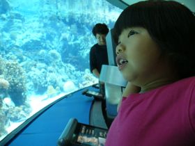 a0284626_1773282.jpg