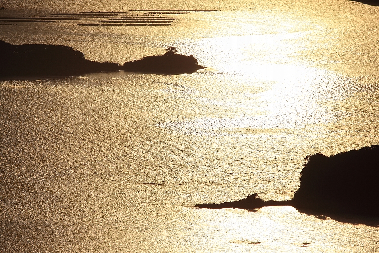 e0303527_0201452.jpg