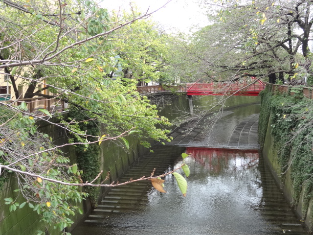 e0016828_10212348.jpg