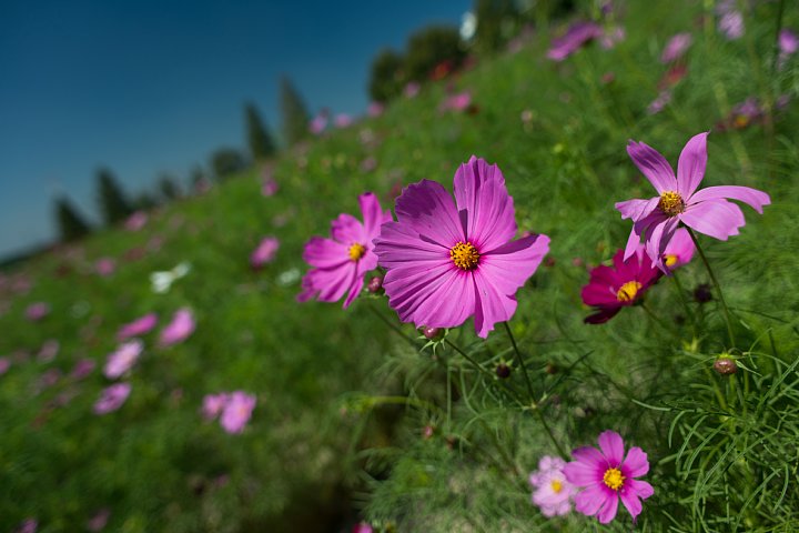 b0134829_15131683.jpg