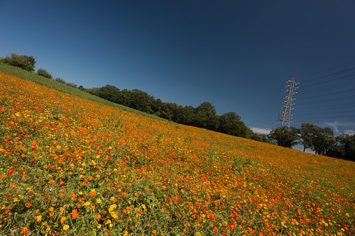 b0134829_15171560.jpg