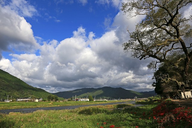 a0242438_1957131.jpg
