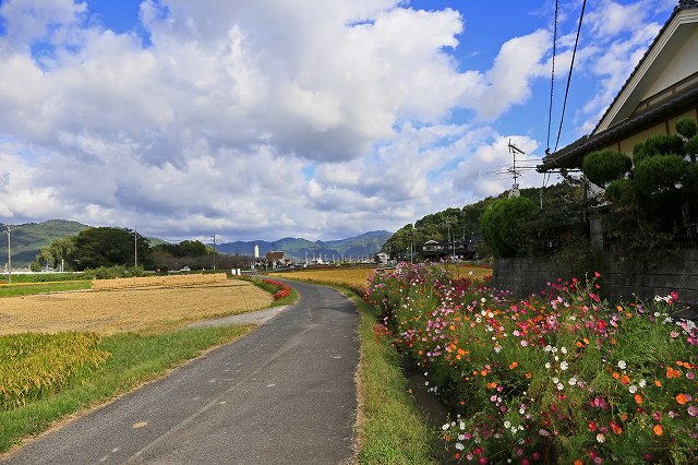 a0242438_1958395.jpg