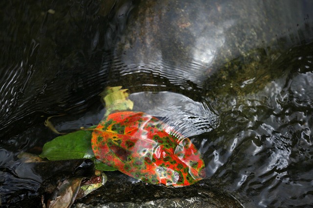 a0242438_19591840.jpg