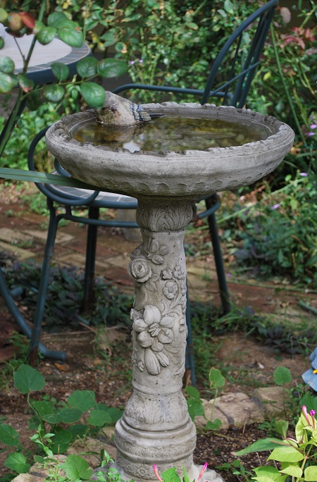 b0155640_2246507.jpg
