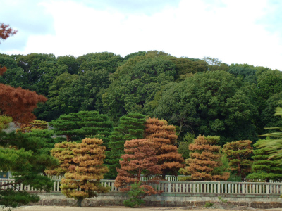 a0161943_182428.jpg