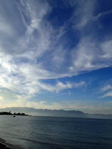 f0094843_2264723.jpg