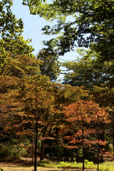 a0120949_5551888.jpg