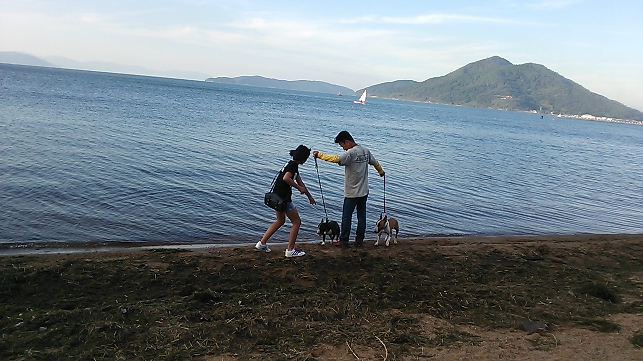 c0073152_2330982.jpg