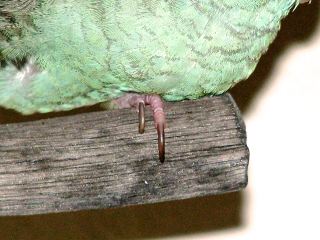 e0173755_1411458.jpg