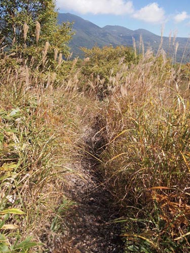 c0011862_2315442.jpg