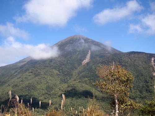 c0011862_23161786.jpg