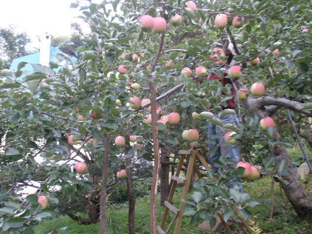 d0150967_2114060.jpg